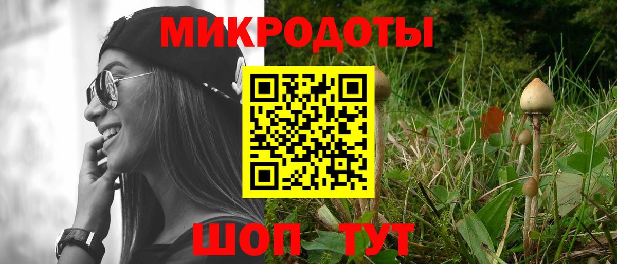 Галлюциногенные грибы прущие грибы  Вход с VPN  Гусев 